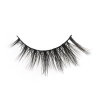 Wispy Cat Eye Lashes