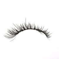 Laser cat eye lashes strip