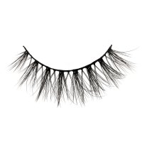 Long Wispy Lashes