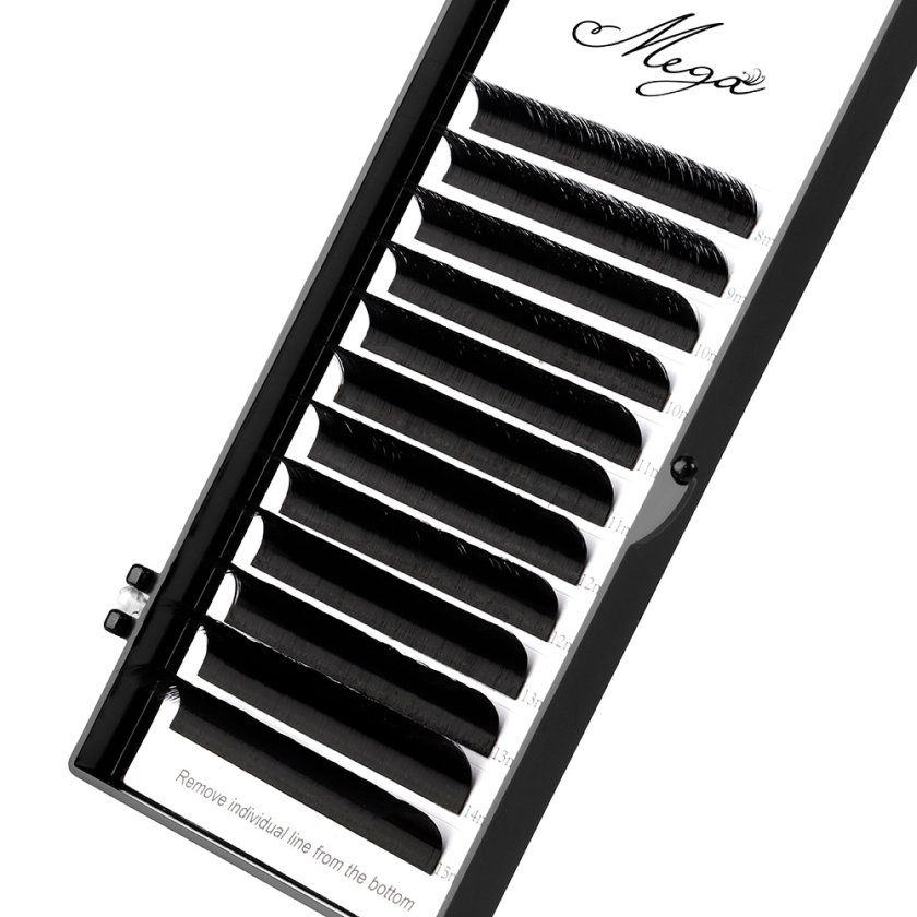 Easy fan lash - M Curl