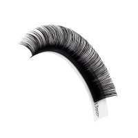 DD curl volume camellia lashes