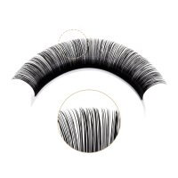 DD curl camellia lashes detail