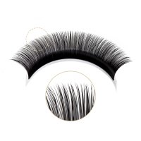 0.07-C-Mix camellia eyelash extension