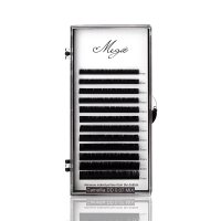 DD curl volume camellia lashes tray