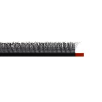 clover wispy w lash eyelash extension