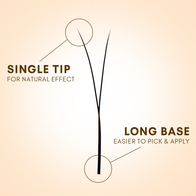 2D y lashes fan detail