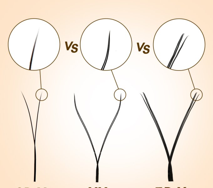 Types of YY Lashes: A Complete Guide for Lash Brands & Wholesale Buyers