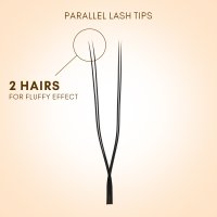 2D U lashes fan detail