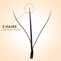 wispy w lashes fan detail