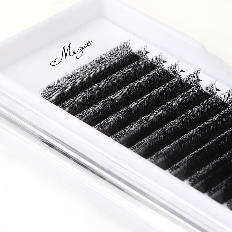 narrow fan 3D W lash extension 
