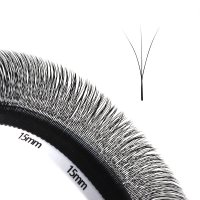 narrow fan 3D W lashes
