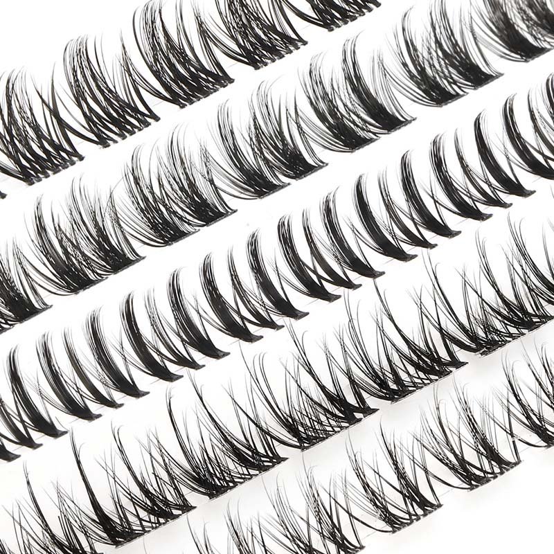 anime cluster lash