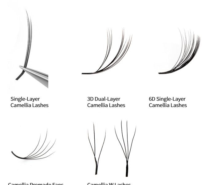 The Ultimate Camellia Lash Sourcing Guide: Categories, Technical Specifications, and Wholesale Inventory Strategy