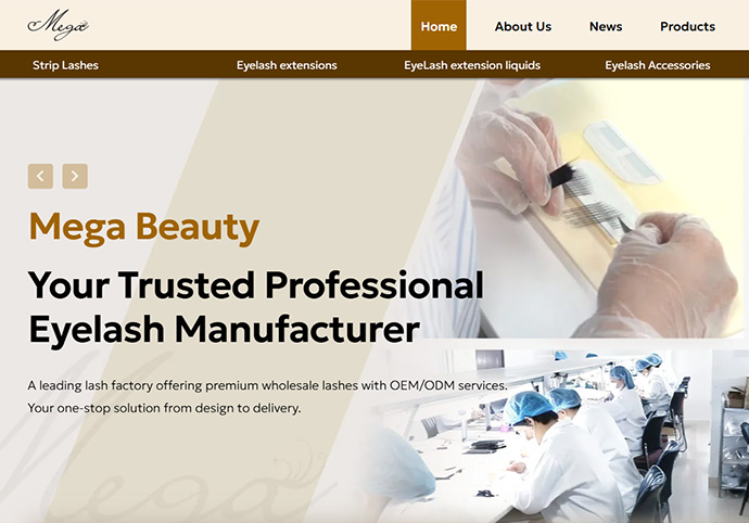 Mega beauty lashes Website