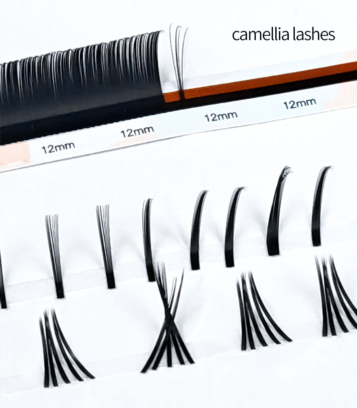 camellia lash Fan Geometry & Skill Threshold