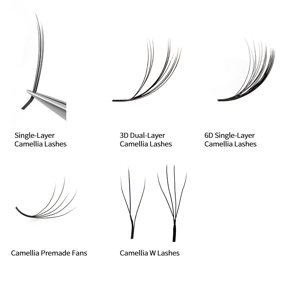 different type of Camelia lashes
